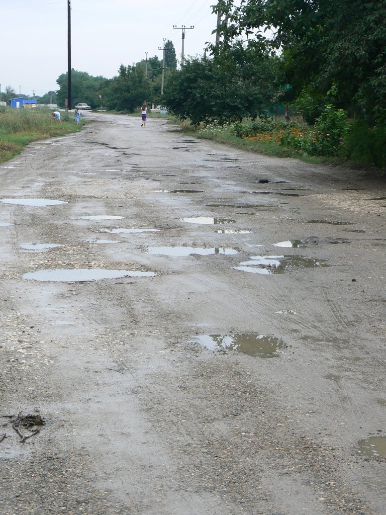 ул. Привокзальная после дождя