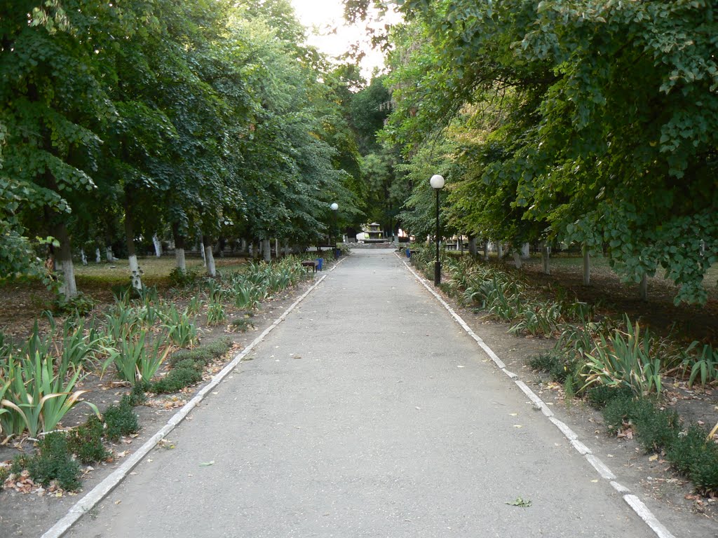 Дорожка в сквере Ленина