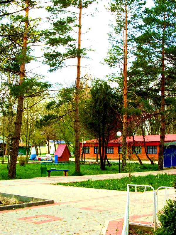 Парк им. А. С. Пушкина