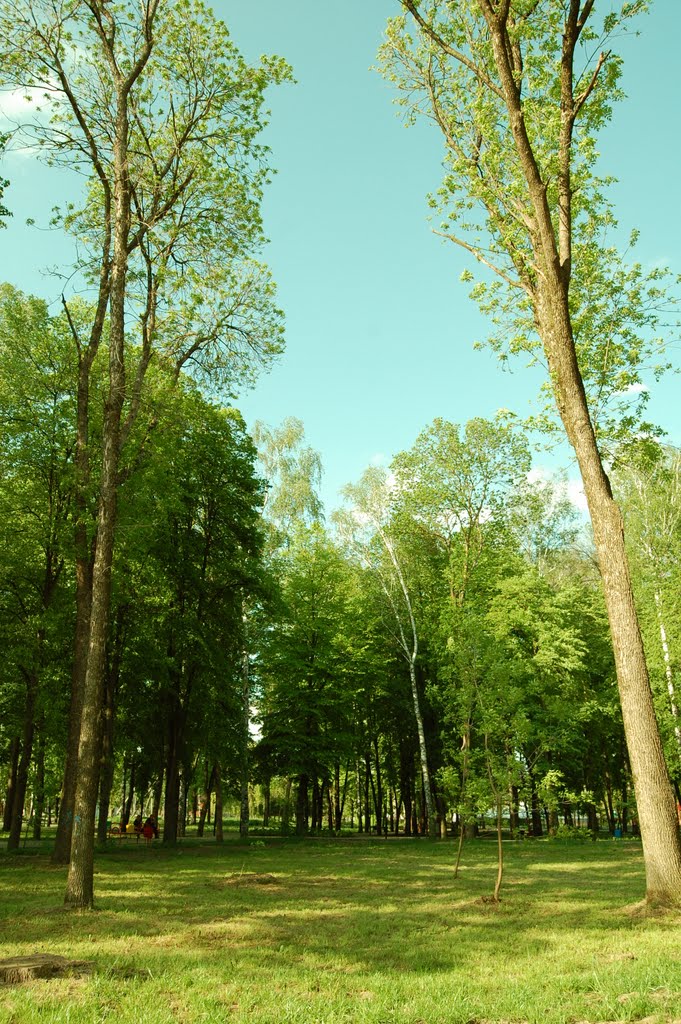 лужайка в парке