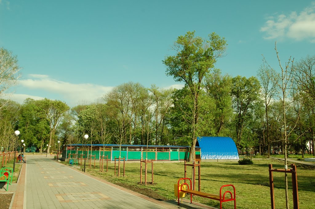 вид на танцплощадку в парке