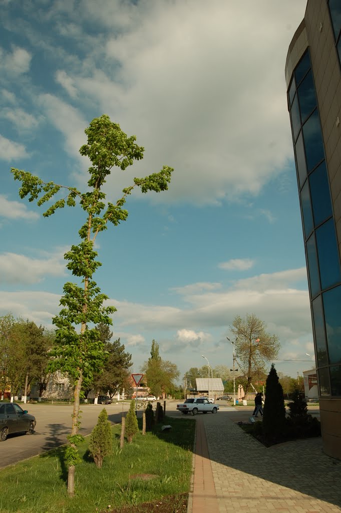 перекрёсток улиц Ленина и Петровского