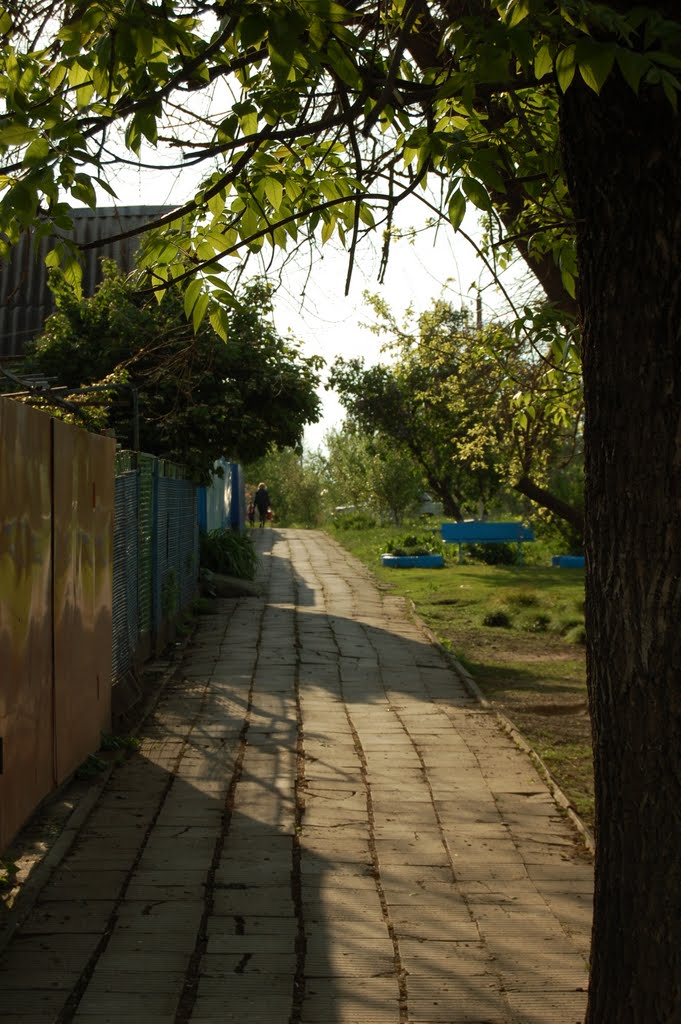 улицп Петровского