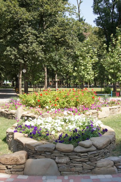 Парк в ст. Северская