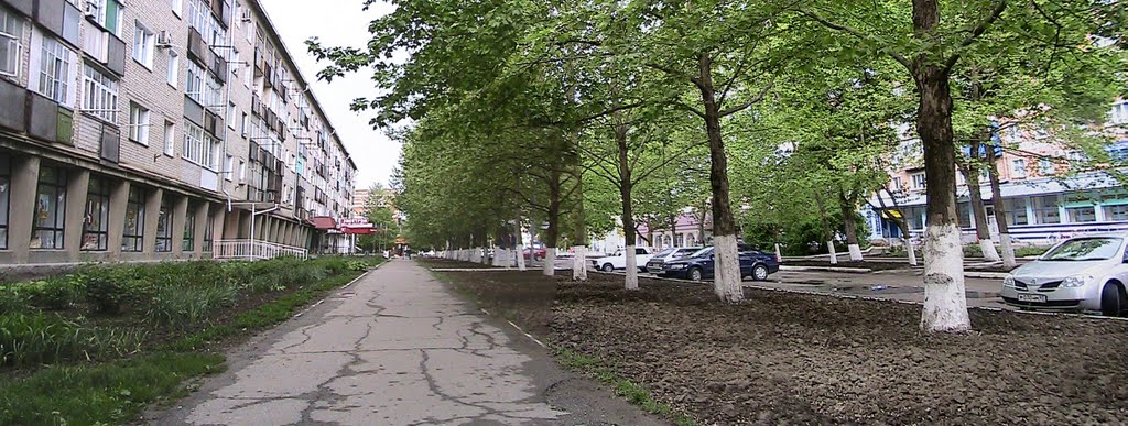 Библиотека