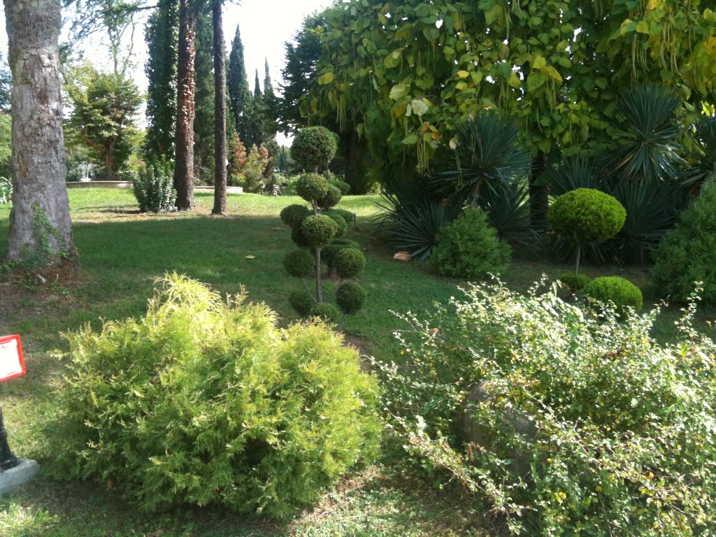 park