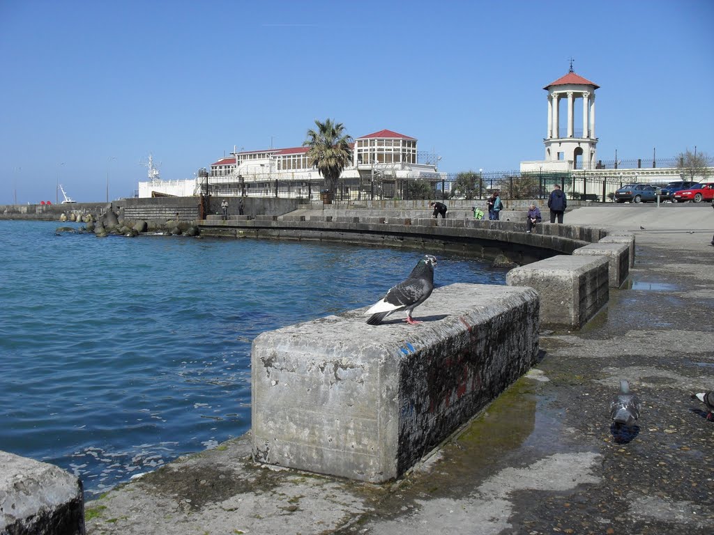 PORT SOCHI