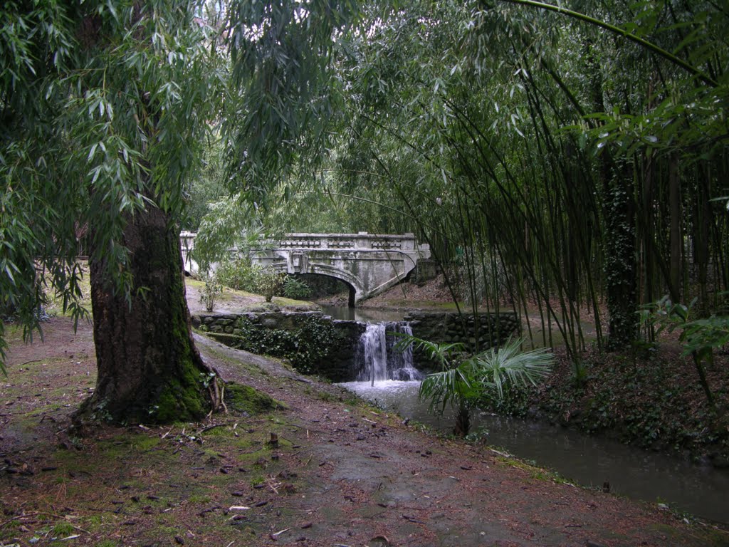 Sochi. Park Dendrariy