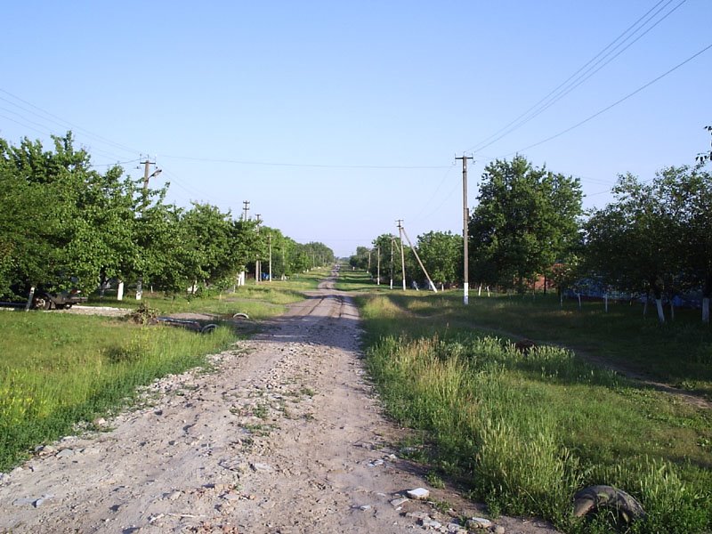 улица Артюха Станица Староминская