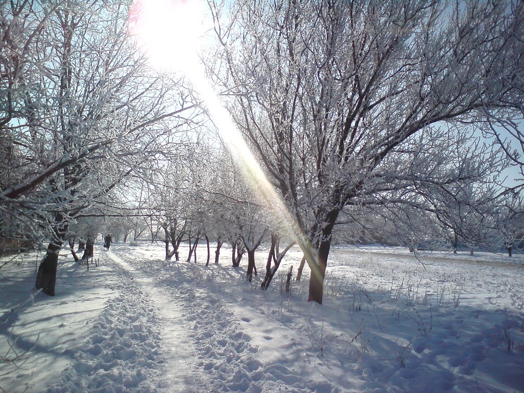 Зима