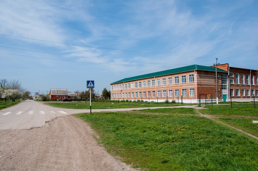 Школа №2 / school