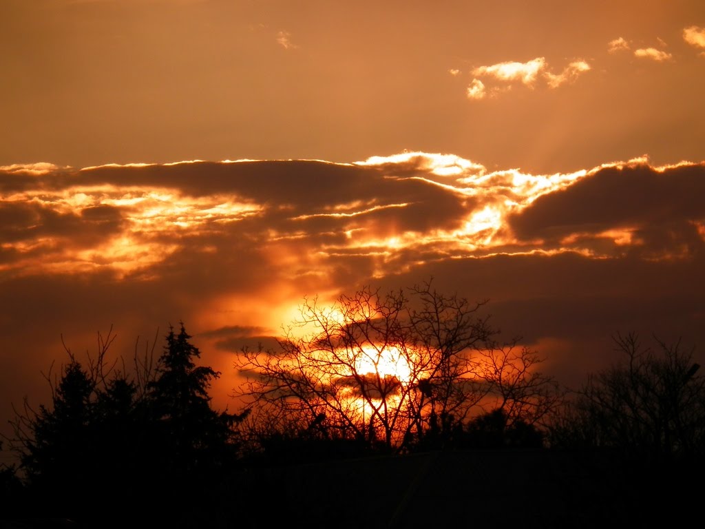 Golden sunset