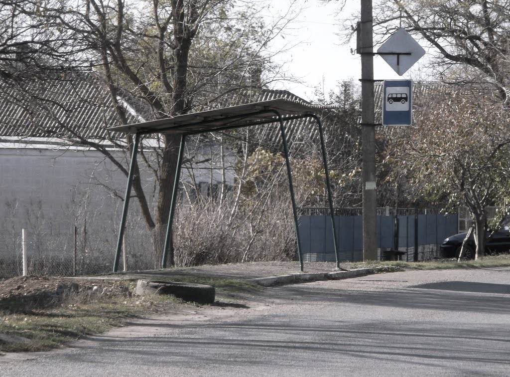 Остановка / The bus stop
