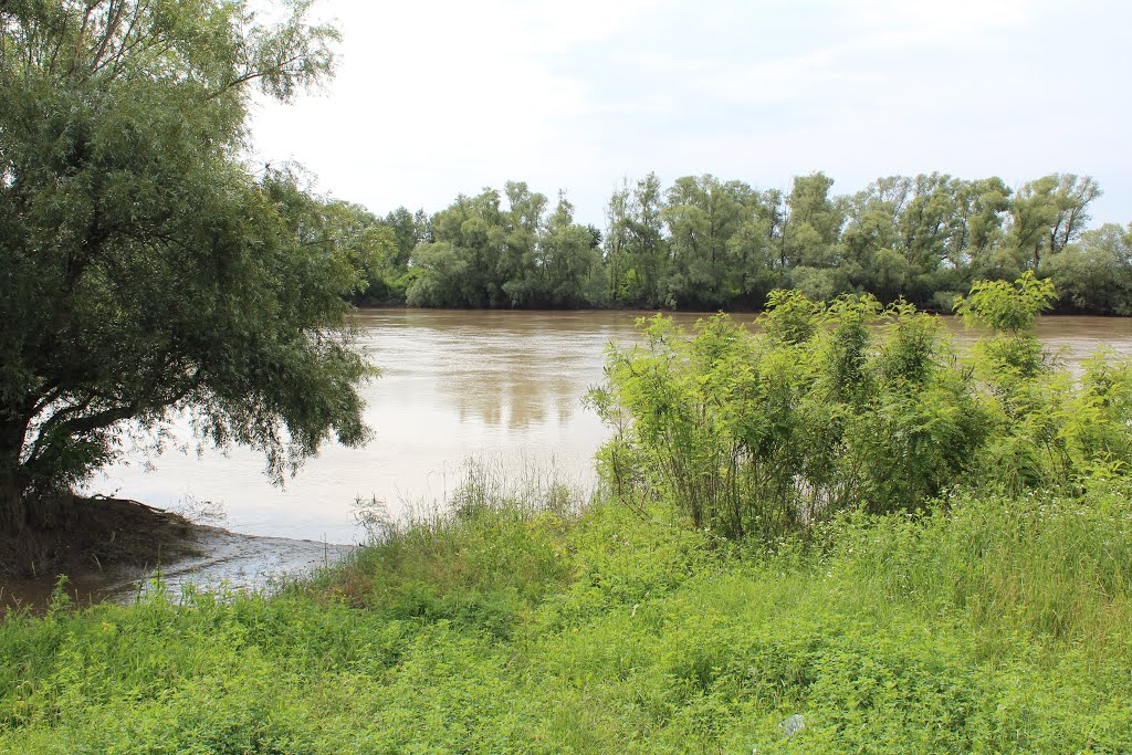 Река Кубань