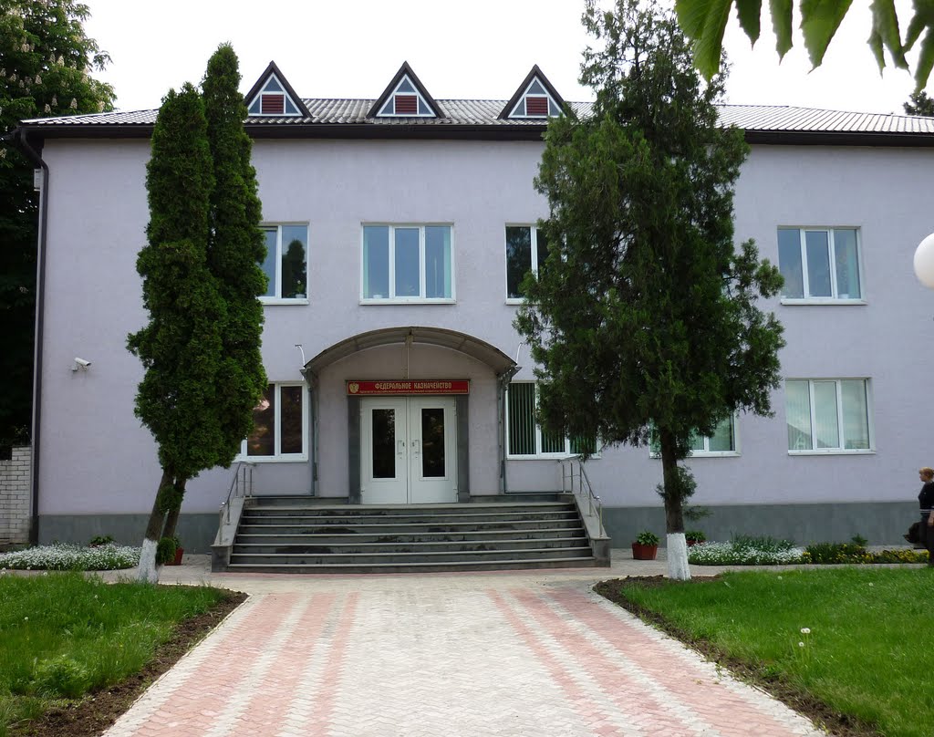 Федеральное казначейство