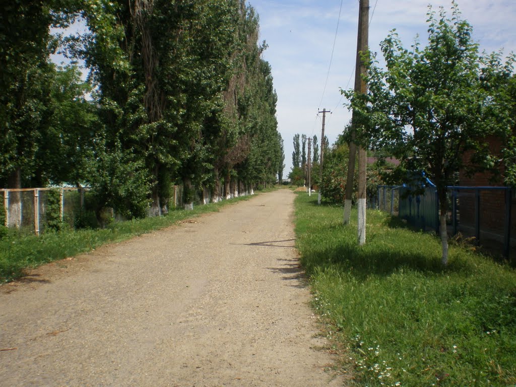 Дорога вдоль школы