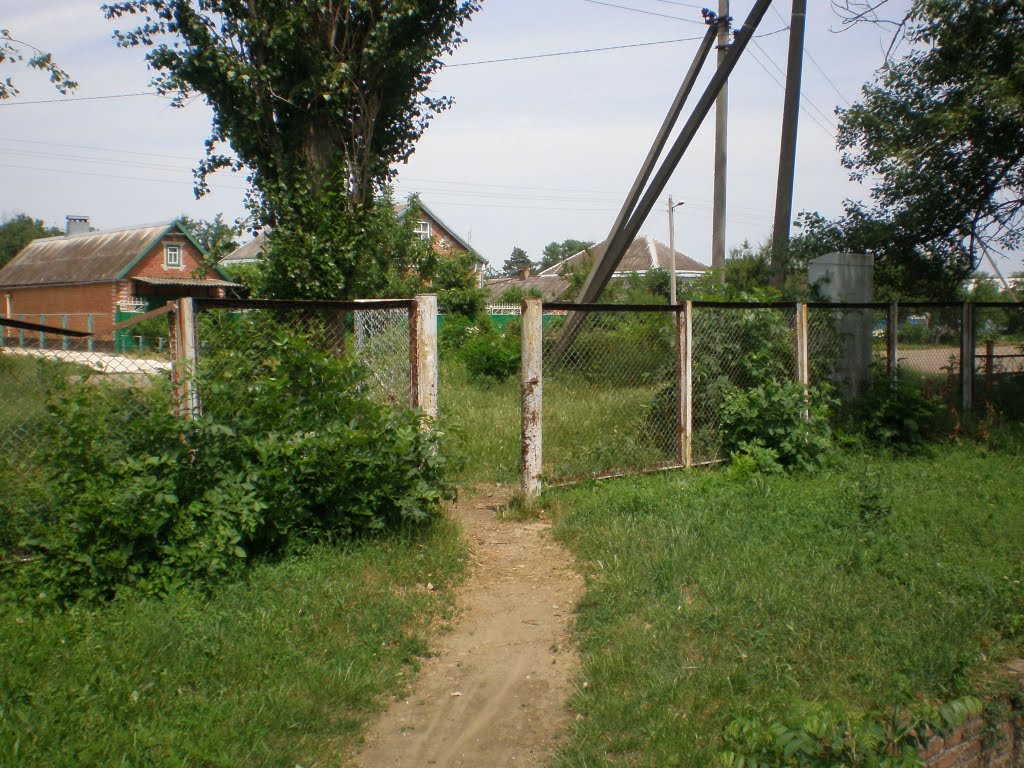 Вход в школу с ул.Тургенева