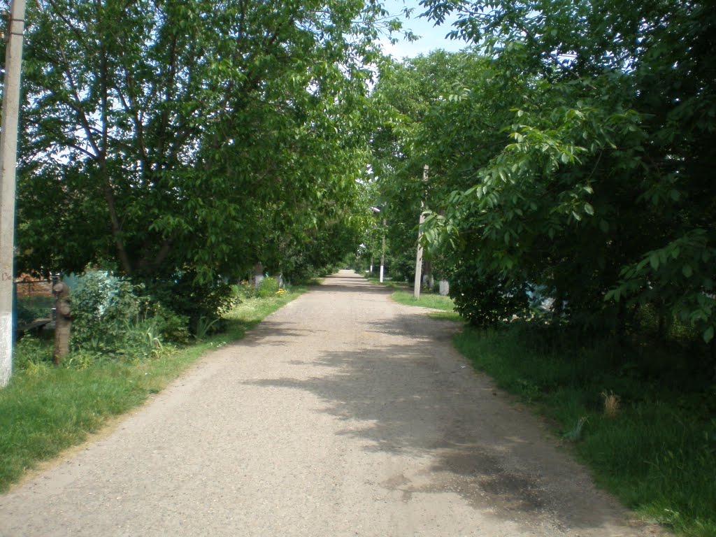 ул.Энгельса