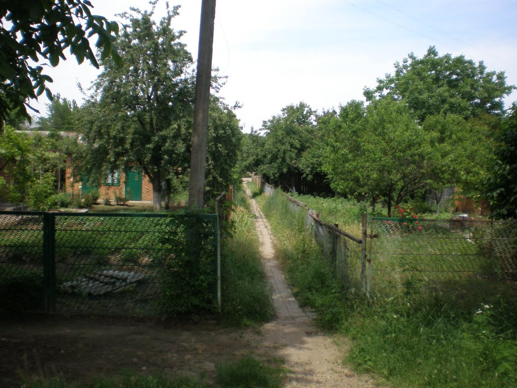 Проулок между Энгельса и Гагарина