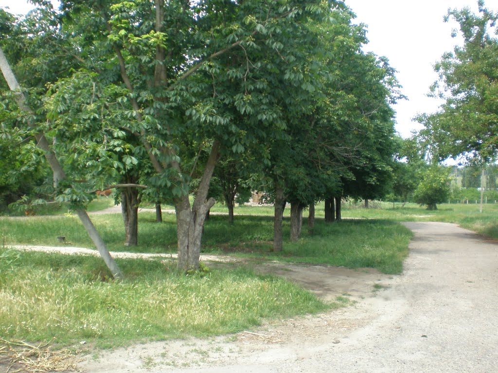 ул.Гагарина