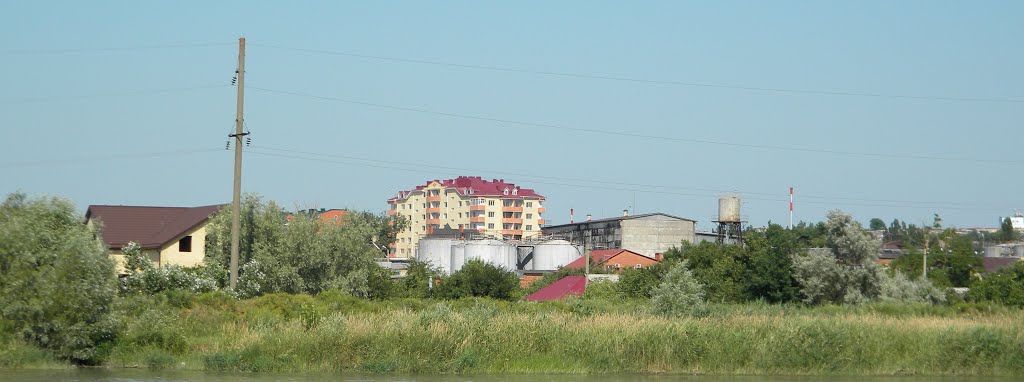 Темрюкский винзавод, вид со стороны реки Кубань