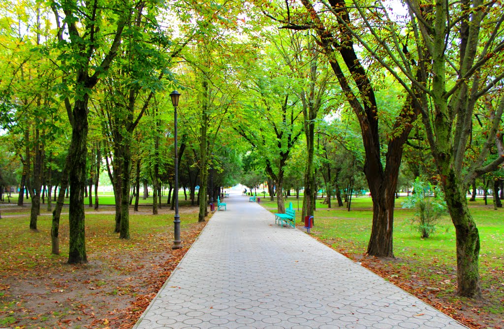 Аллея