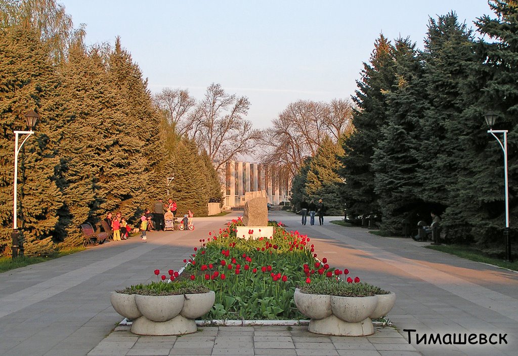 Тимашевск. Городской  мемориальный сквер. - City Memorial Square.