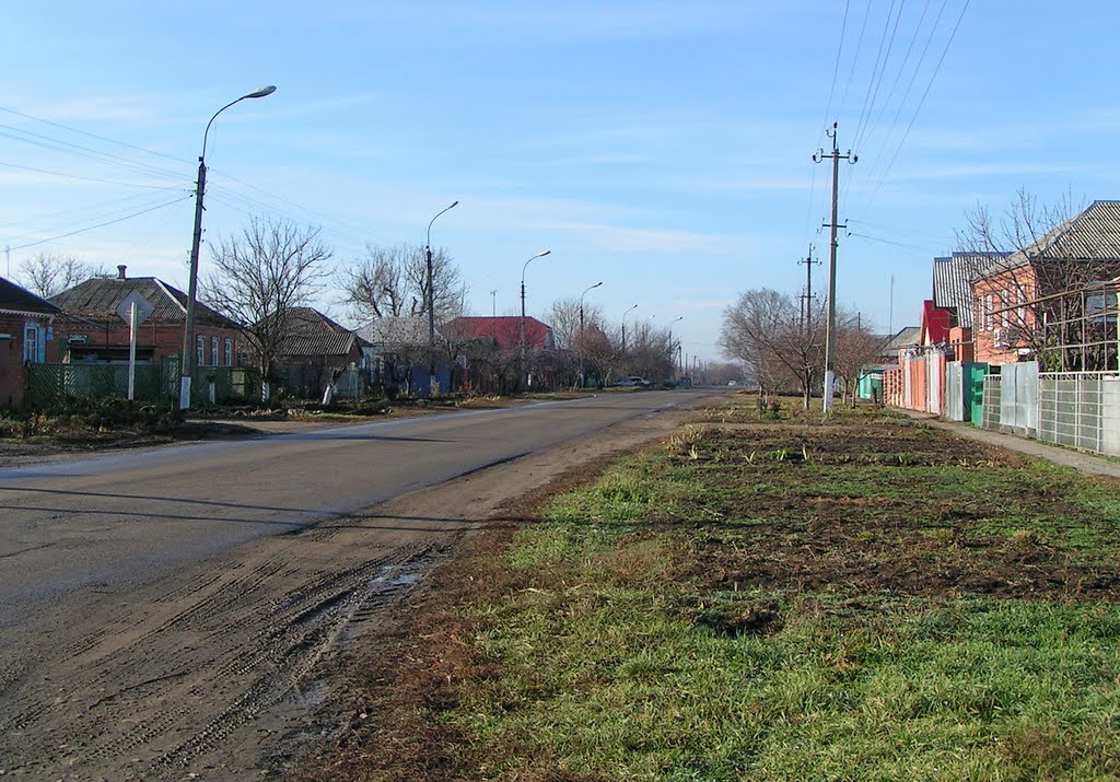 Тимашевск. Улица Науменко. - Naumenko street.