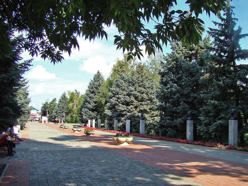 Аллея Героев в Мемориальном сквере.