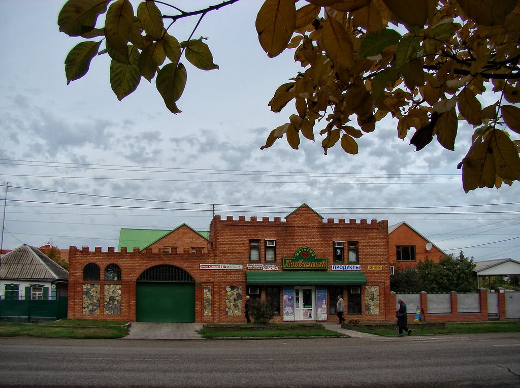 Дом-крепость. - Shop.