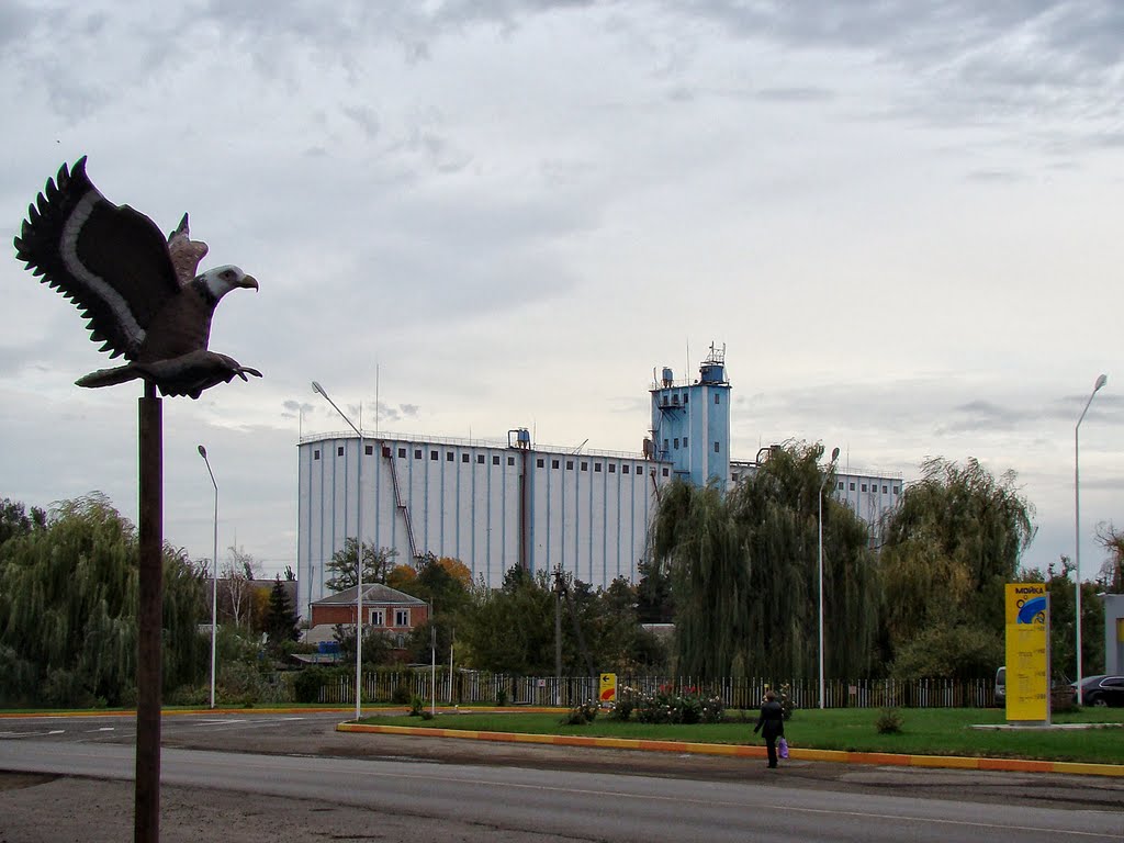 Тимашевск. Элеватор. - Grain elevator.