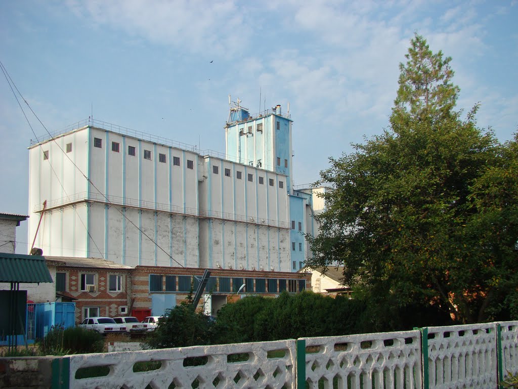 Элеватор. - Grain elevator.