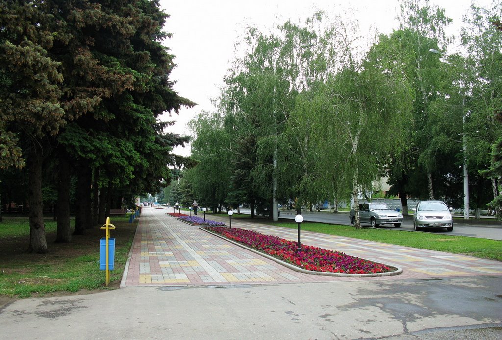 В парке