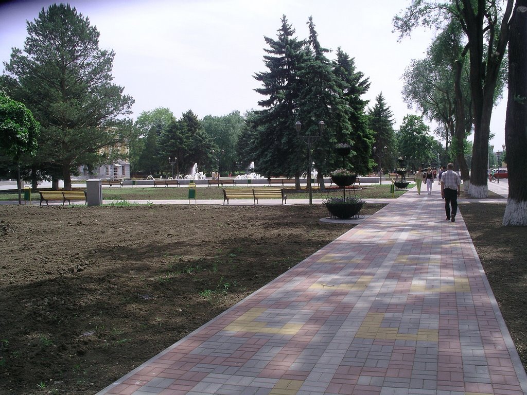 Аллея парка
