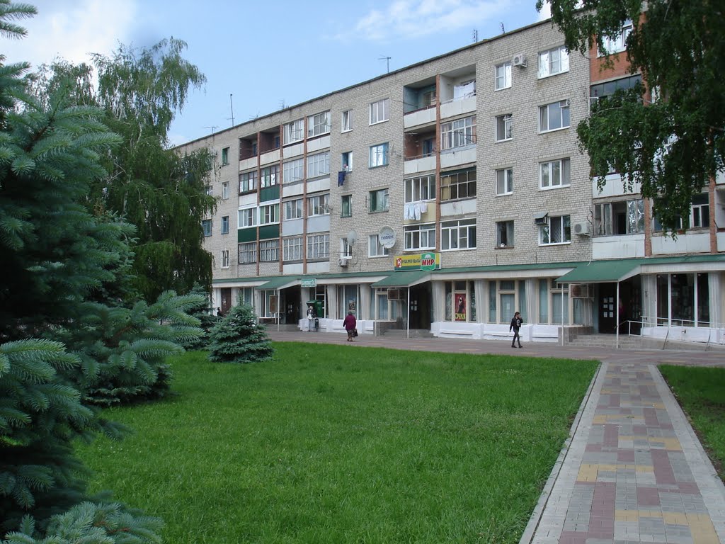 Магазин "Книжный мир"