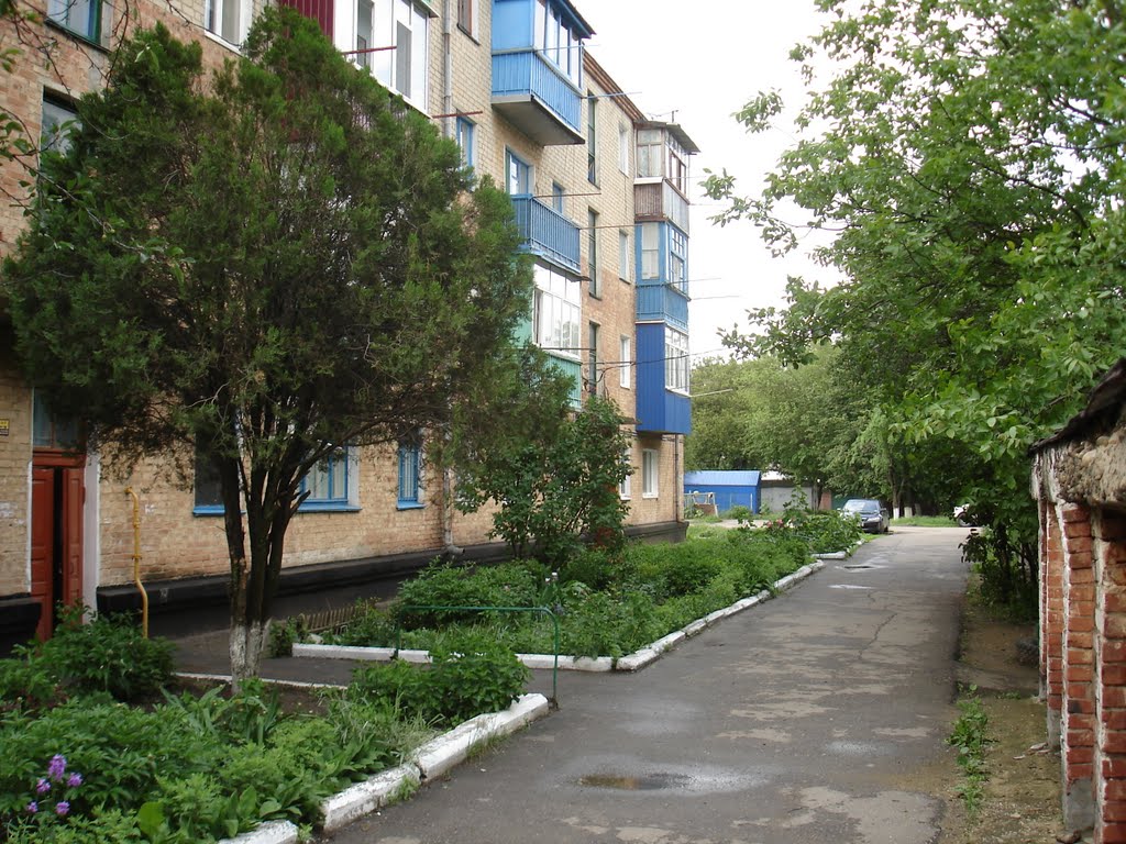 Улица Октябрьская 100а