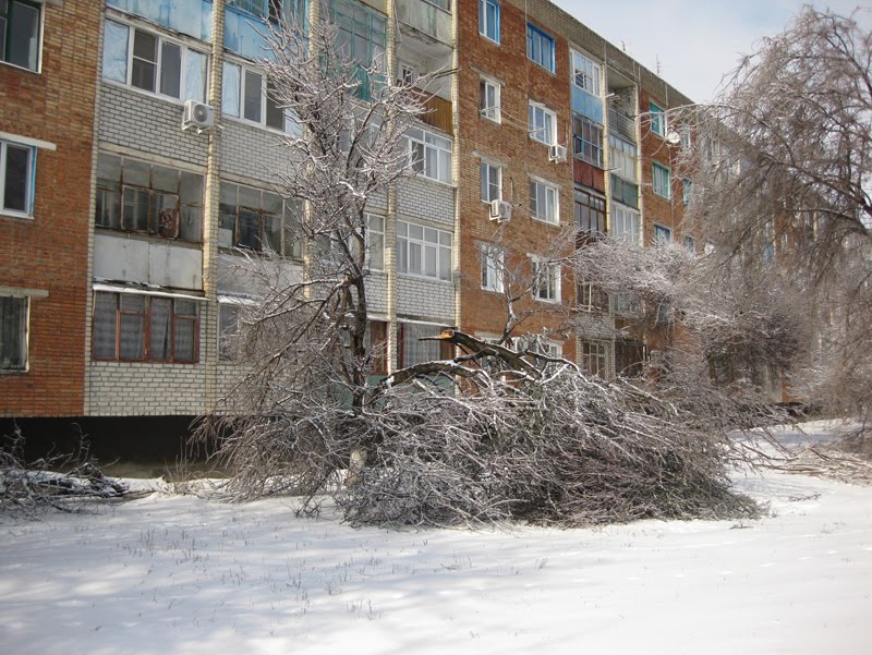 Март 2010, ул. Октябрьская 93