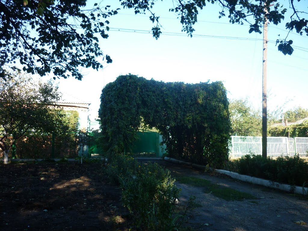 арка