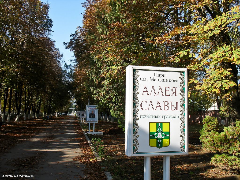 Аллея славы
