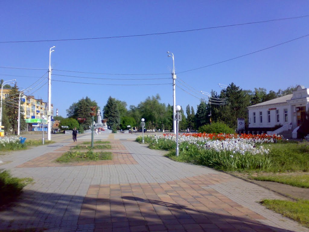 Площадь Жукова. Тихорецк.