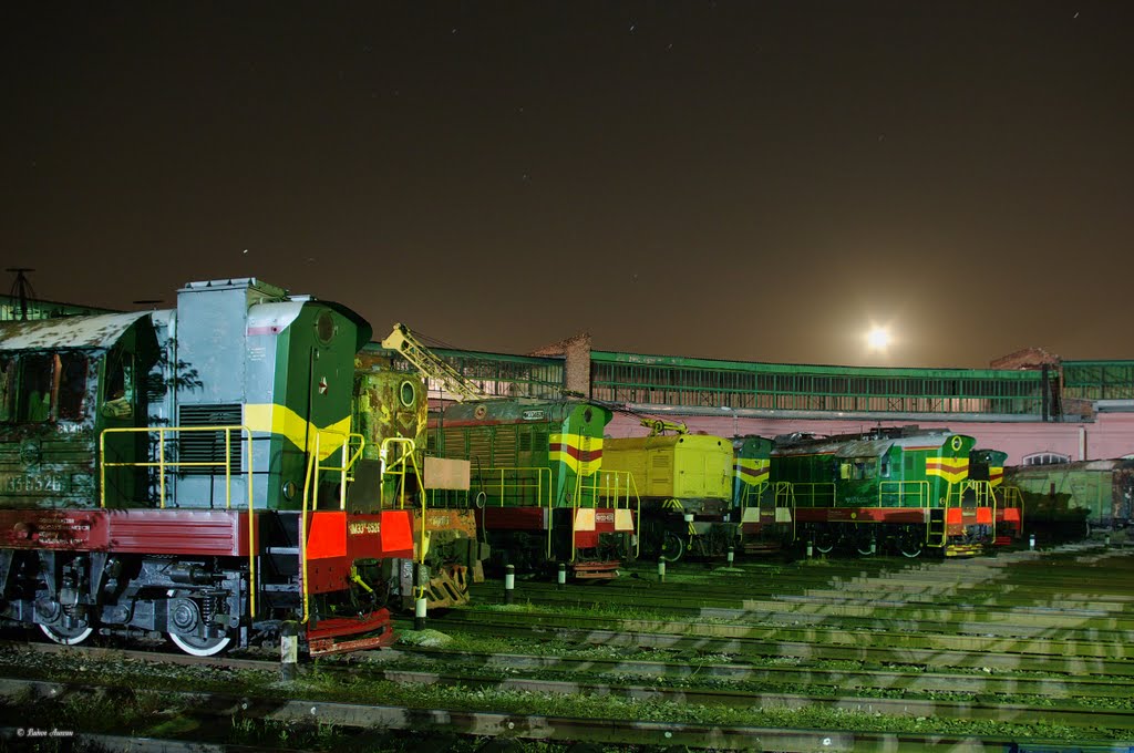 The depot in Tikhoretck / Веерное депо в Тихорецке