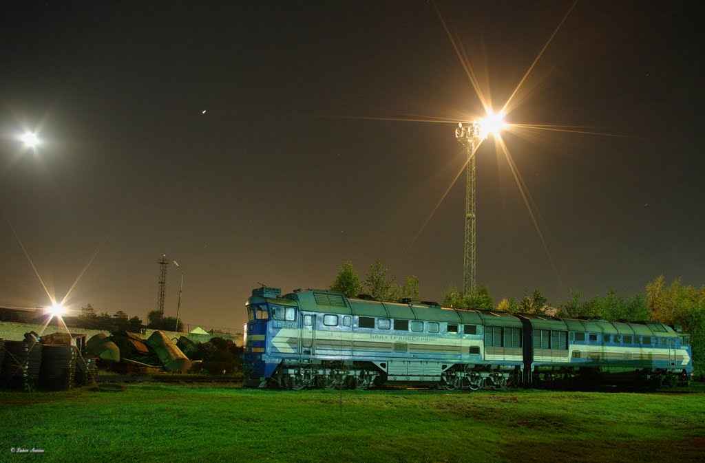 Diesel locomotive 2TE116-1696 in depot Tikhoretck