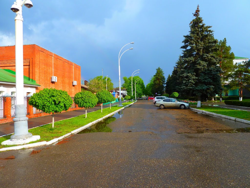 После дождичка