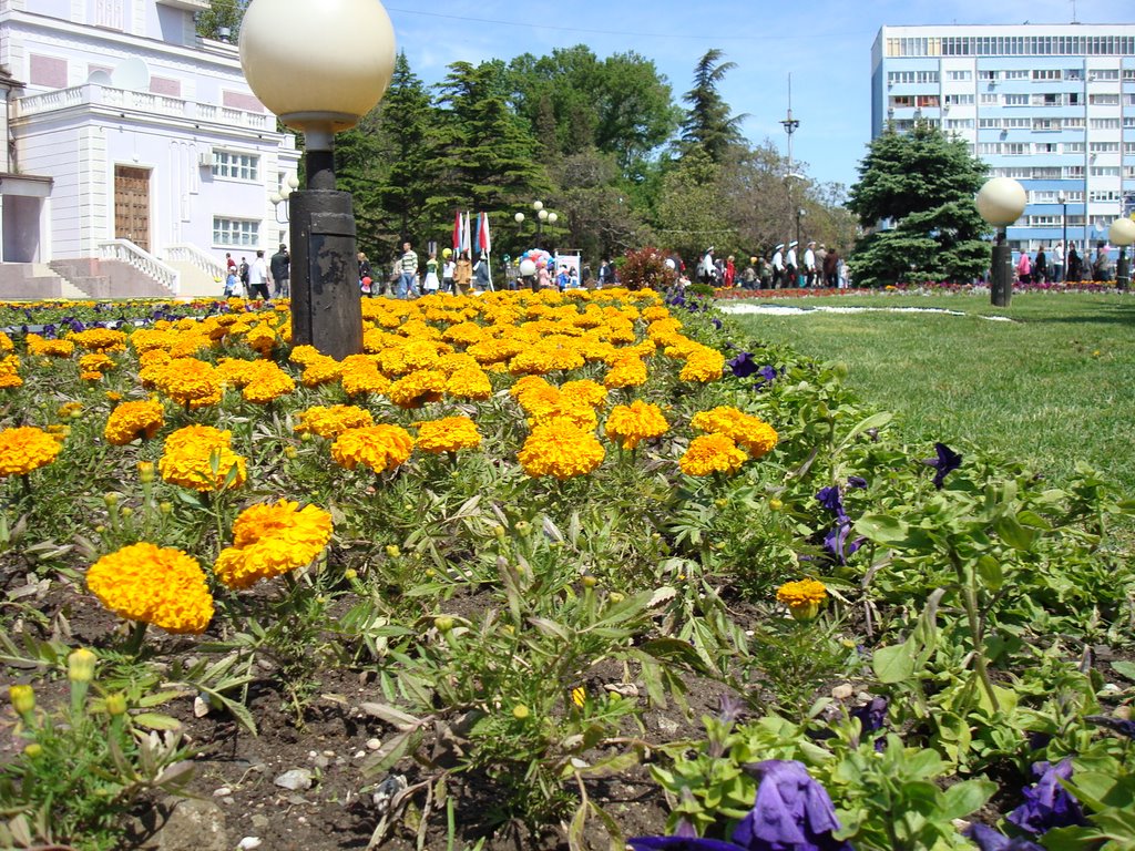 Клумба
