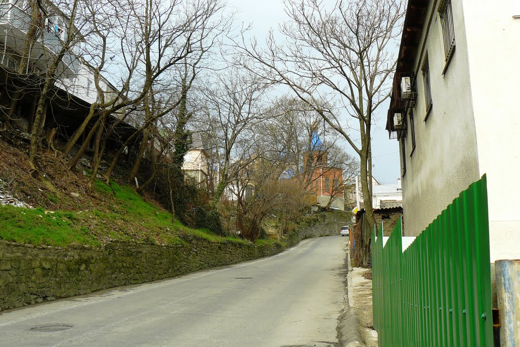 Улица Герцена