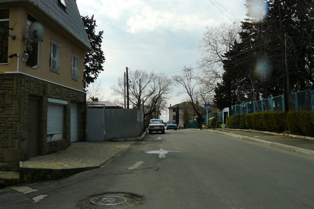 Улица Ленских рабочих
