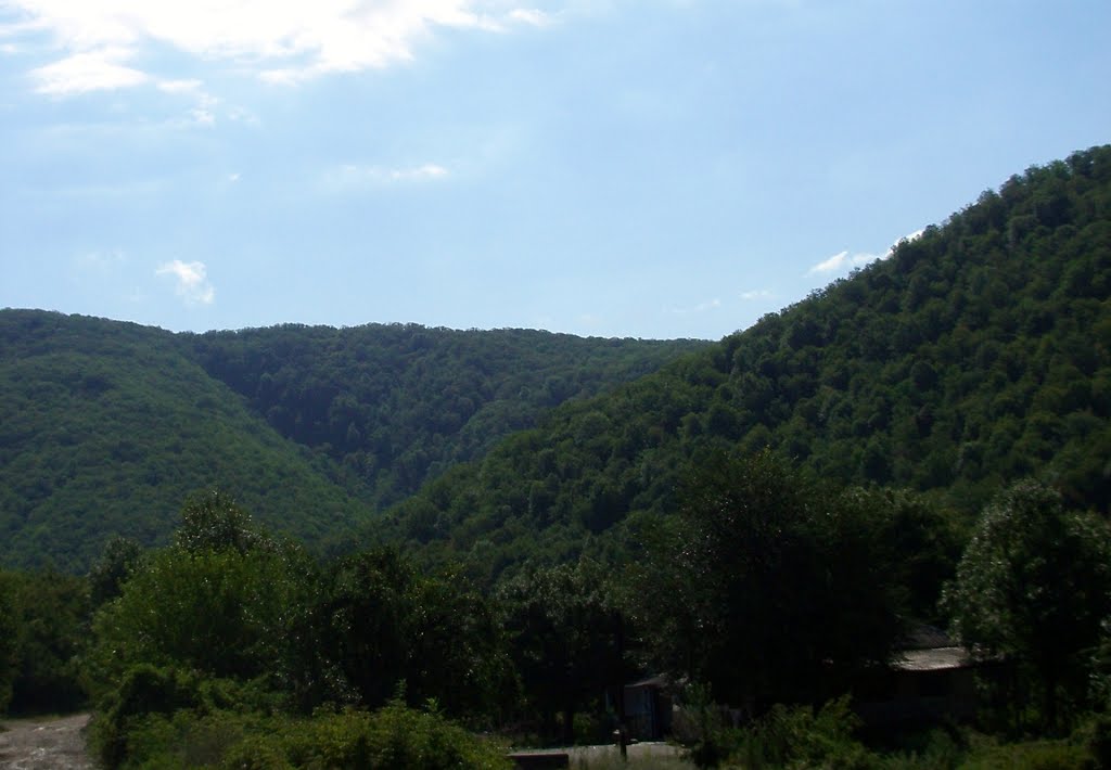 On the way to the waterfalls Tenghinka / По пути на Тенгинские водопады