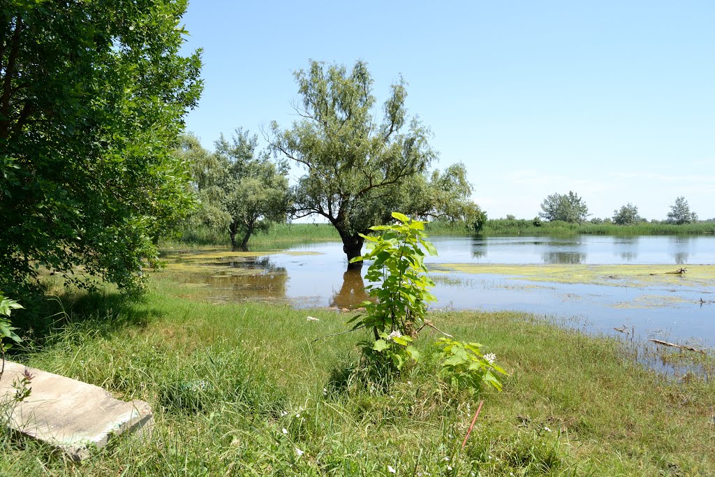 Подтопление / Underflooding