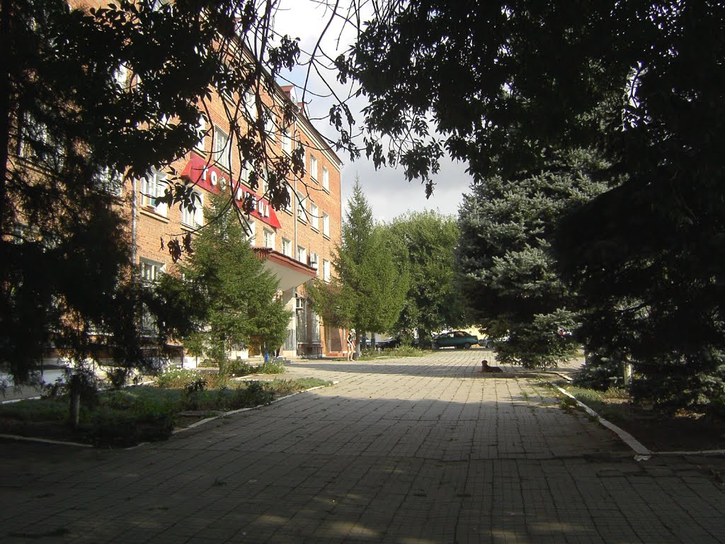 Гостиница, City Hotel