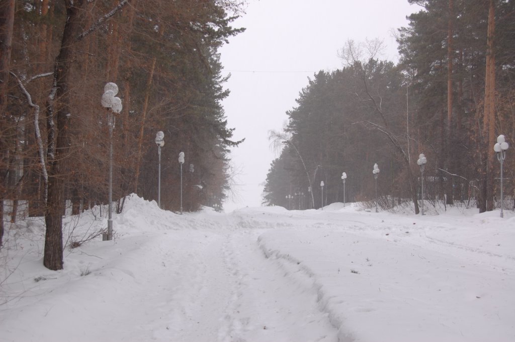 City Park alley